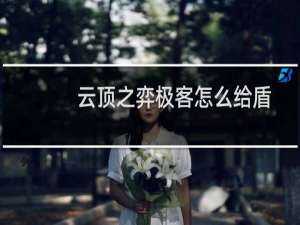 云顶之弈极客怎么给盾