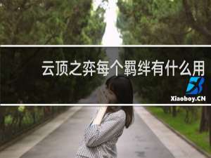 云顶之弈每个羁绊有什么用