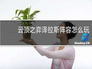 云顶之弈泽拉斯阵容怎么玩