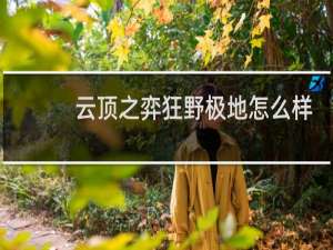 云顶之弈狂野极地怎么样