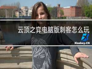 云顶之弈电脑版刺客怎么玩