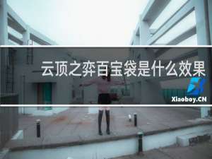 云顶之弈百宝袋是什么效果