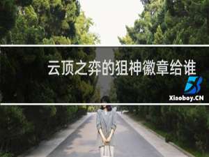 云顶之弈的狙神徽章给谁