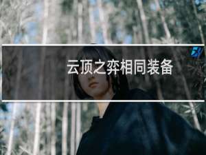云顶之弈相同装备