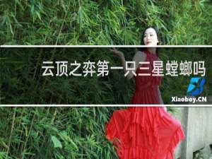 云顶之弈第一只三星螳螂吗