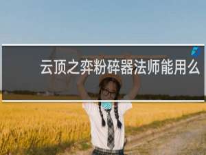 云顶之弈粉碎器法师能用么