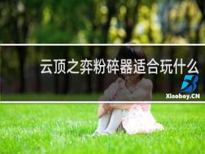 云顶之弈粉碎器适合玩什么