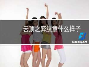 云顶之弈纹章什么样子