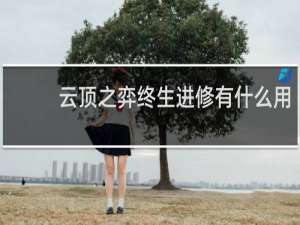 云顶之弈终生进修有什么用
