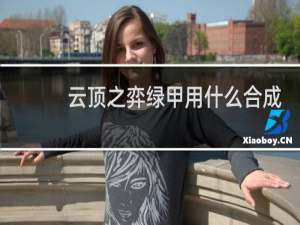 云顶之弈绿甲用什么合成