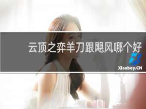 云顶之弈羊刀跟飓风哪个好