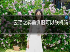 云顶之弈美测服可以联机吗