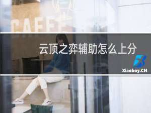 云顶之弈辅助怎么上分