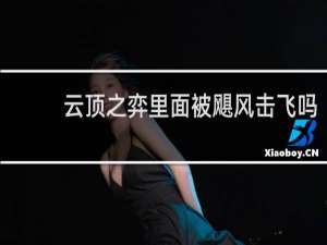 云顶之弈里面被飓风击飞吗