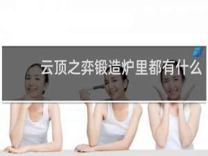 云顶之弈锻造炉里都有什么