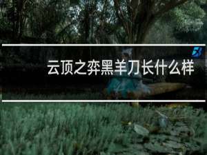 云顶之弈黑羊刀长什么样
