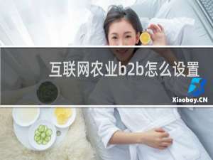 互联网农业b2b怎么设置