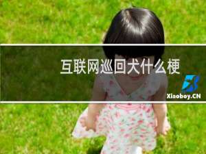 互联网巡回犬什么梗