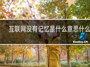 互联网没有记忆是什么意思什么梗