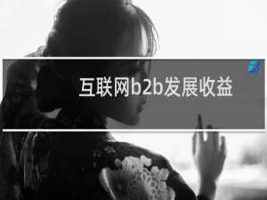 互联网b2b发展收益