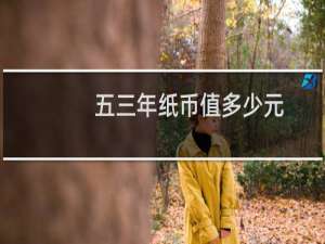 五三年纸币值多少元