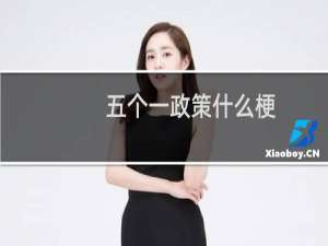 五个一政策什么梗