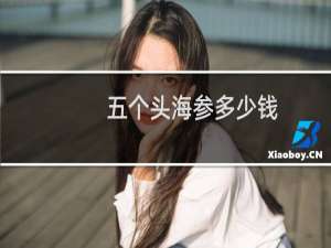 五个头海参多少钱