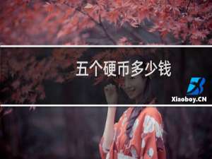 五个硬币多少钱