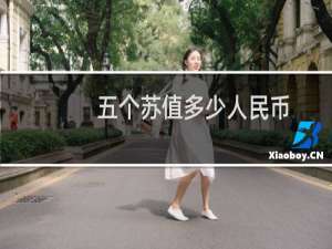 五个苏值多少人民币