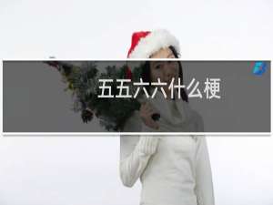 五五六六什么梗