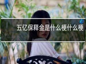 五亿保释金是什么梗什么梗