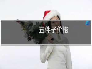 五件子价格