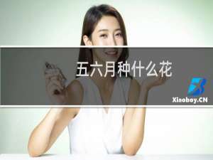 五六月种什么花