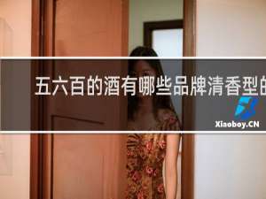 五六百的酒有哪些品牌清香型的