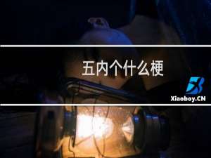 五内个什么梗