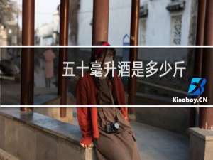 五十毫升酒是多少斤