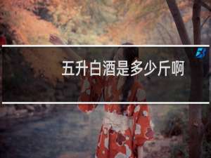 五升白酒是多少斤啊