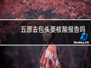 五原去包头要核酸报告吗