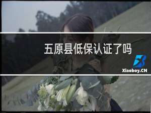 五原县低保认证了吗