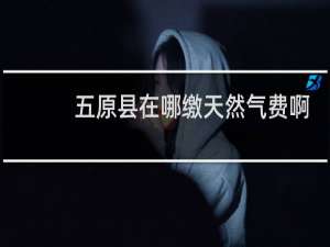 五原县在哪缴天然气费啊