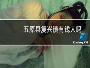 五原县复兴镇有钱人吗