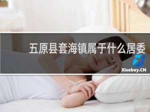 五原县套海镇属于什么居委