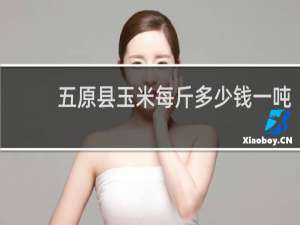 五原县玉米每斤多少钱一吨