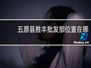 五原县胜丰批发部位置在哪