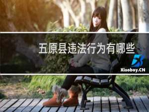 五原县违法行为有哪些