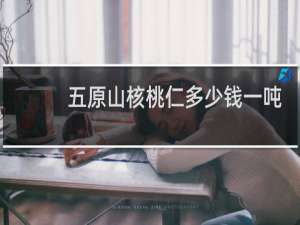 五原山核桃仁多少钱一吨
