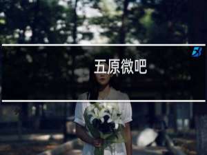 五原微吧