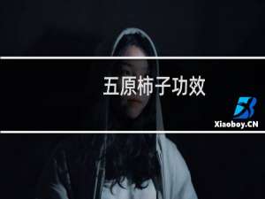 五原柿子功效