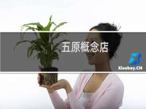 五原概念店