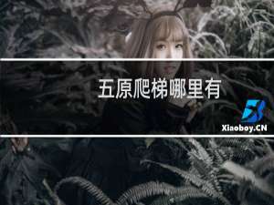 五原爬梯哪里有